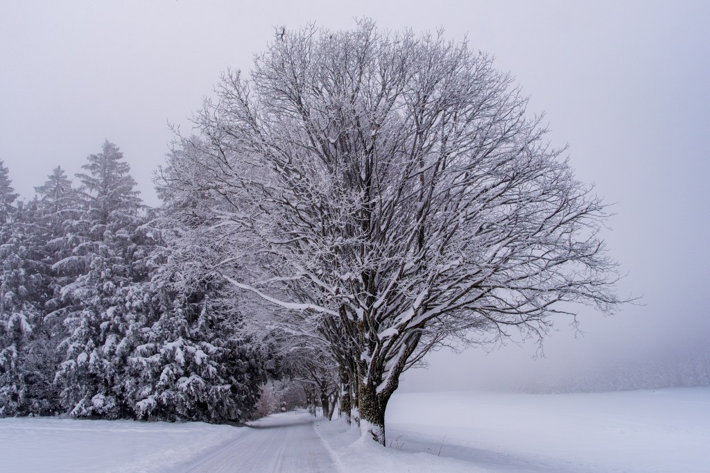 Why Silence Has Become One of the Greatest&nbsp;Luxuries